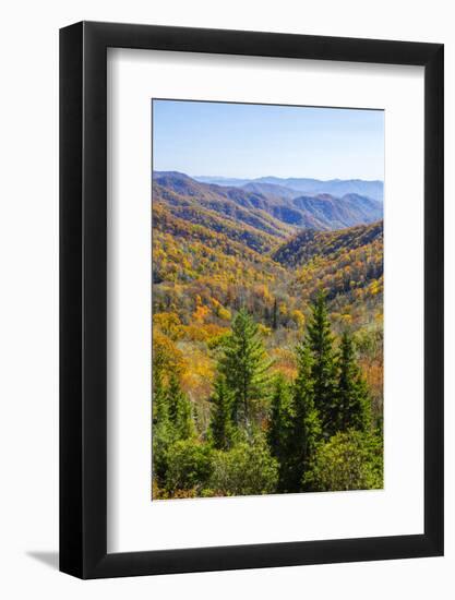 North Carolina, Great Smoky Mountains NP, View from Newfound Gap Road-Jamie & Judy Wild-Framed Photographic Print