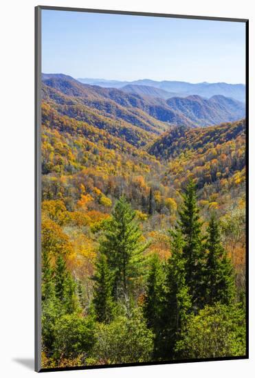 North Carolina, Great Smoky Mountains NP, View from Newfound Gap Road-Jamie & Judy Wild-Mounted Photographic Print