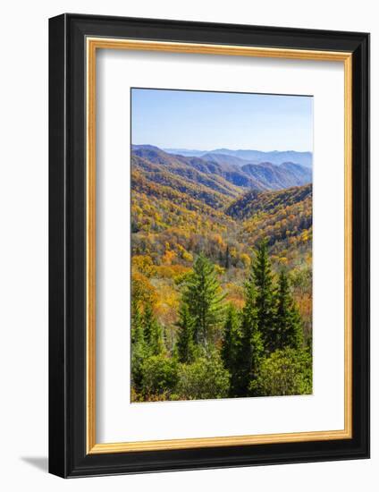 North Carolina, Great Smoky Mountains NP, View from Newfound Gap Road-Jamie & Judy Wild-Framed Photographic Print