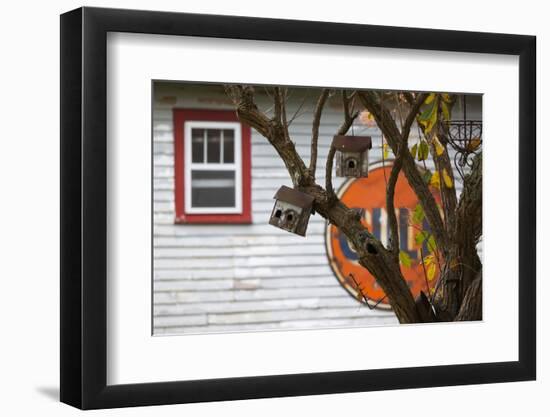 North Carolina, Linville, Antique Gulf Sign with Birdhouses-Walter Bibikow-Framed Photographic Print