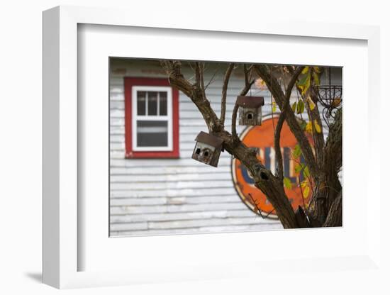 North Carolina, Linville, Antique Gulf Sign with Birdhouses-Walter Bibikow-Framed Photographic Print