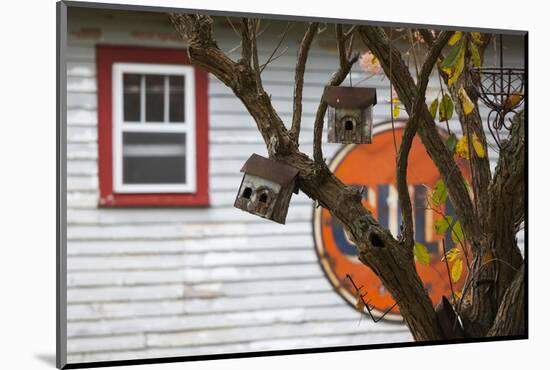 North Carolina, Linville, Antique Gulf Sign with Birdhouses-Walter Bibikow-Mounted Photographic Print