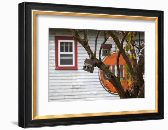 North Carolina, Linville, Antique Gulf Sign with Birdhouses-Walter Bibikow-Framed Photographic Print