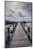 North Carolina, Outer Banks National Seashore, Corolla,Boardwalk-Walter Bibikow-Mounted Photographic Print