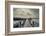 North Carolina, Outer Banks National Seashore, Corolla,Boardwalk-Walter Bibikow-Framed Photographic Print