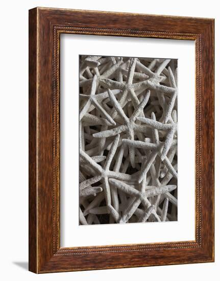 North Carolina, Outer Banks National Seashore, Corolla, Dried Starfish-Walter Bibikow-Framed Photographic Print