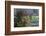 North Carolina, Valle Crucis, Old Farmhouse, Autumn-Walter Bibikow-Framed Photographic Print