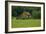 North Cascades Barn-George Johnson-Framed Photographic Print