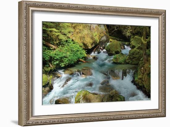 North Cascades NP I-George Johnson-Framed Photographic Print