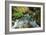 North Cascades NP I-George Johnson-Framed Photographic Print