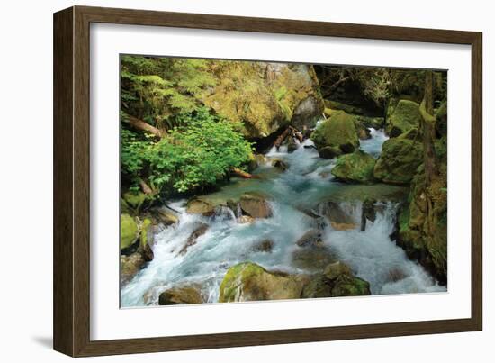 North Cascades NP I-George Johnson-Framed Photographic Print