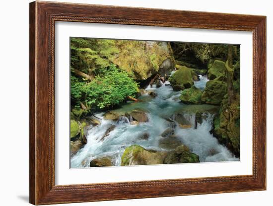 North Cascades NP I-George Johnson-Framed Photographic Print