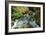 North Cascades NP I-George Johnson-Framed Photographic Print