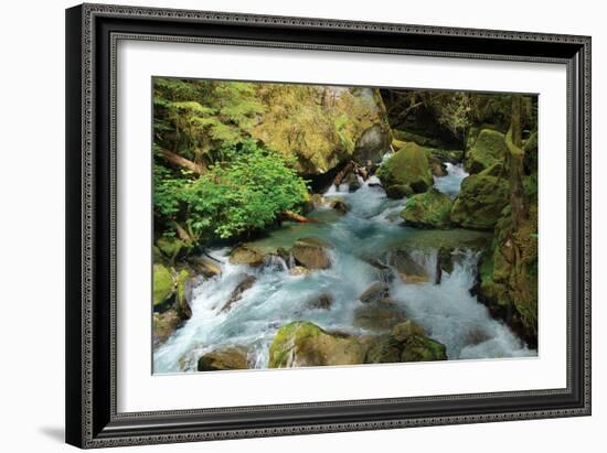 North Cascades NP I-George Johnson-Framed Photographic Print