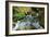 North Cascades NP I-George Johnson-Framed Photographic Print