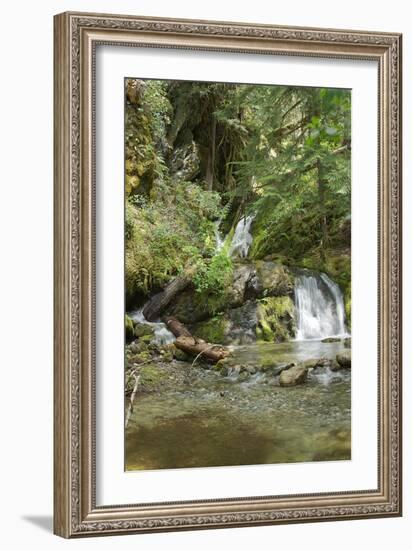 North Cascades NP II-George Johnson-Framed Photographic Print