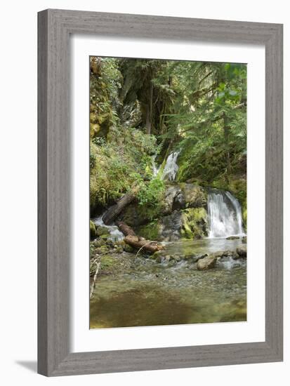 North Cascades NP II-George Johnson-Framed Photographic Print