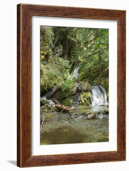 North Cascades NP II-George Johnson-Framed Photographic Print