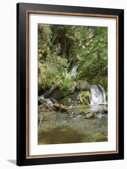 North Cascades NP II-George Johnson-Framed Photographic Print