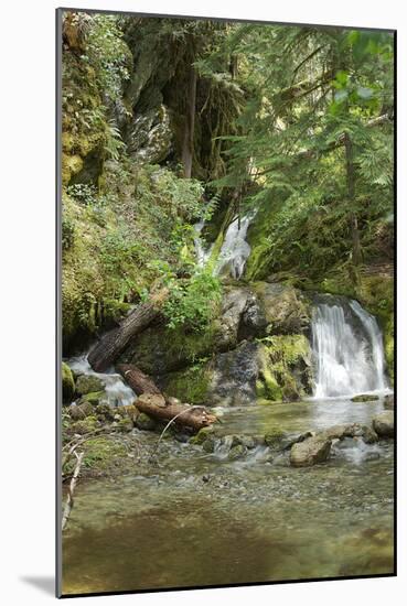 North Cascades NP II-George Johnson-Mounted Photographic Print