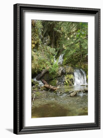 North Cascades NP II-George Johnson-Framed Photographic Print