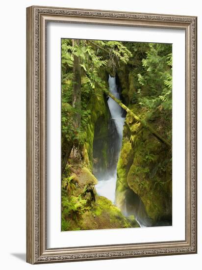 North Cascades NP III-George Johnson-Framed Photographic Print