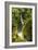 North Cascades NP III-George Johnson-Framed Photographic Print