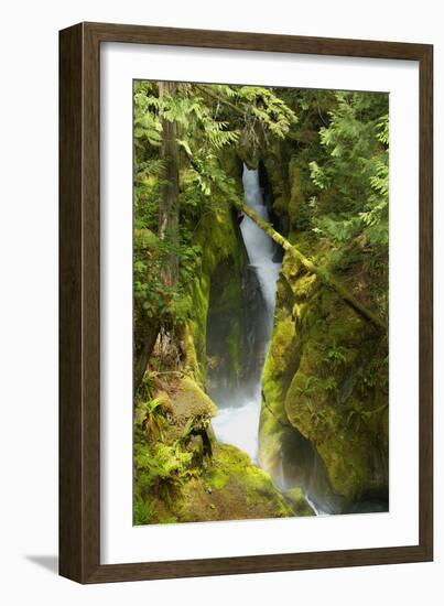 North Cascades NP III-George Johnson-Framed Photographic Print