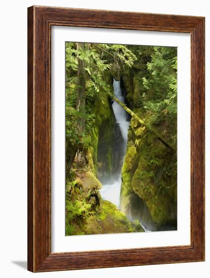 North Cascades NP III-George Johnson-Framed Photographic Print