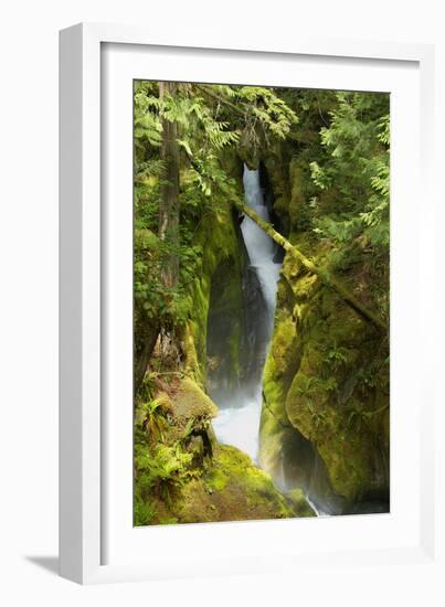 North Cascades NP III-George Johnson-Framed Photographic Print