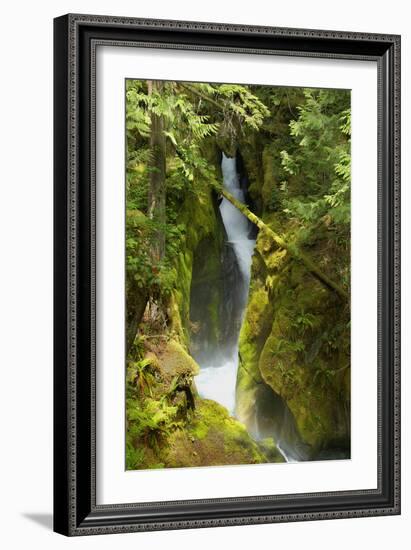 North Cascades NP III-George Johnson-Framed Photographic Print