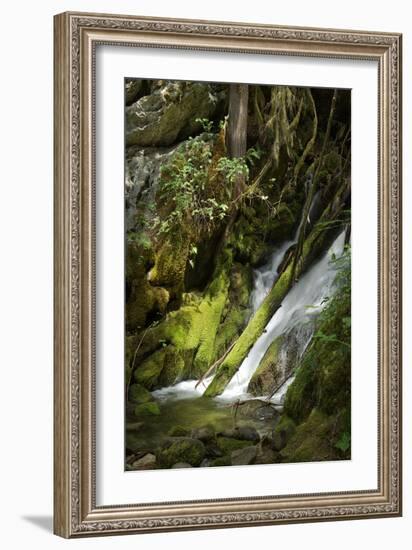 North Cascades NP IV-George Johnson-Framed Photographic Print