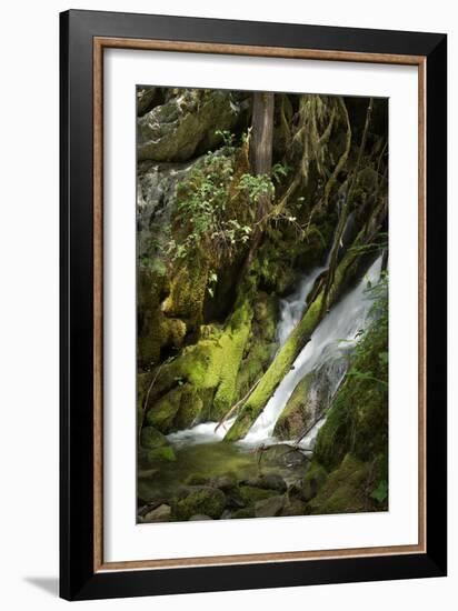 North Cascades NP IV-George Johnson-Framed Photographic Print