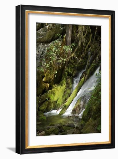 North Cascades NP IV-George Johnson-Framed Photographic Print