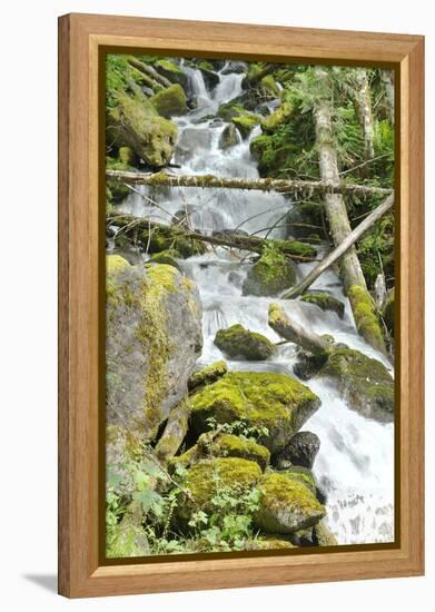 North Cascades NP VI-George Johnson-Framed Premier Image Canvas