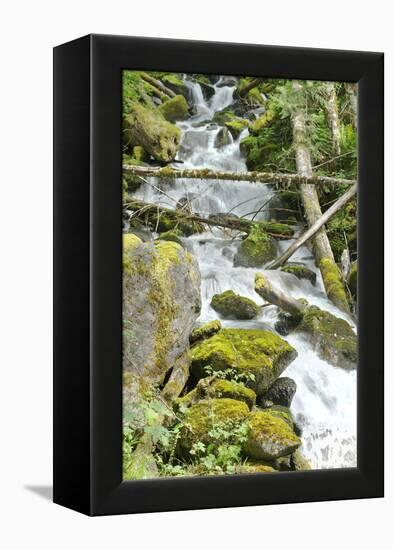 North Cascades NP VI-George Johnson-Framed Premier Image Canvas