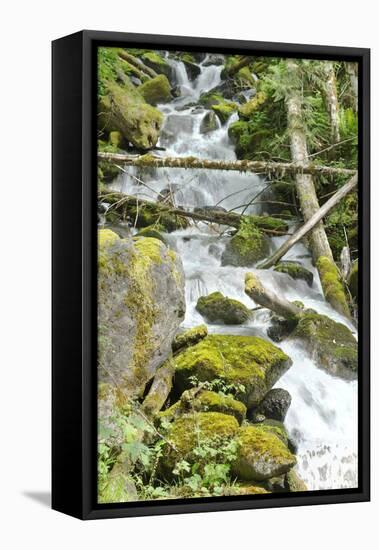 North Cascades NP VI-George Johnson-Framed Premier Image Canvas