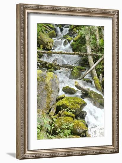 North Cascades NP VI-George Johnson-Framed Photographic Print