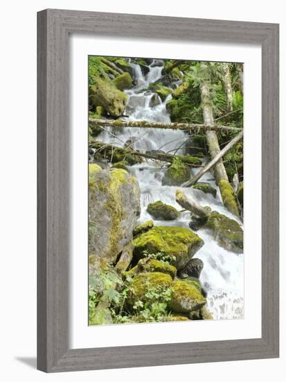 North Cascades NP VI-George Johnson-Framed Photographic Print