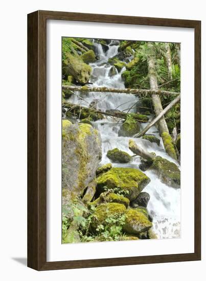 North Cascades NP VI-George Johnson-Framed Photographic Print