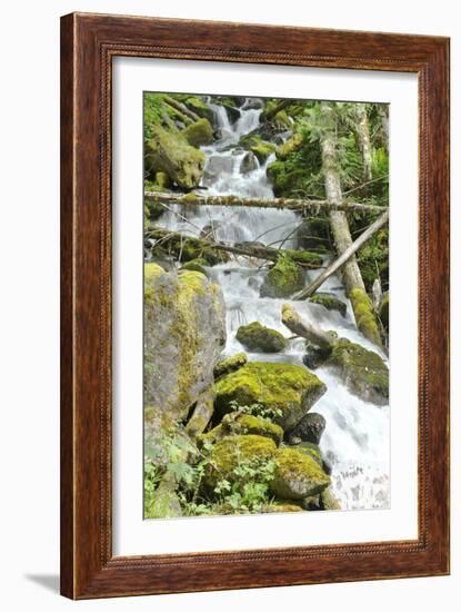 North Cascades NP VI-George Johnson-Framed Photographic Print