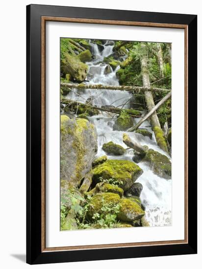 North Cascades NP VI-George Johnson-Framed Photographic Print