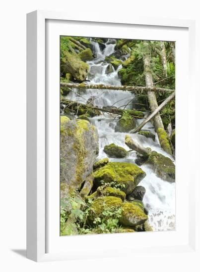 North Cascades NP VI-George Johnson-Framed Photographic Print