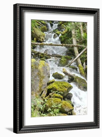 North Cascades NP VI-George Johnson-Framed Photographic Print