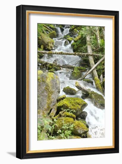 North Cascades NP VI-George Johnson-Framed Photographic Print