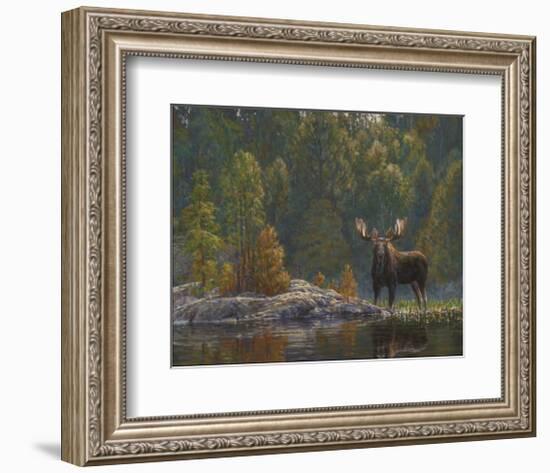 North Country Moose-Bruce Miller-Framed Giclee Print