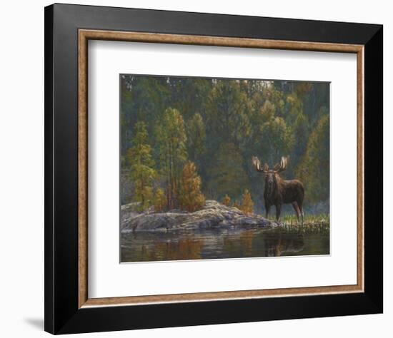 North Country Moose-Bruce Miller-Framed Giclee Print