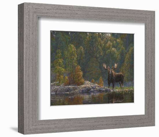 North Country Moose-Bruce Miller-Framed Giclee Print