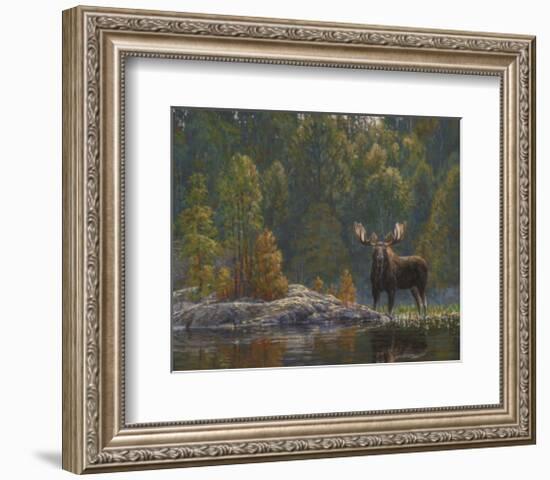 North Country Moose-Bruce Miller-Framed Art Print