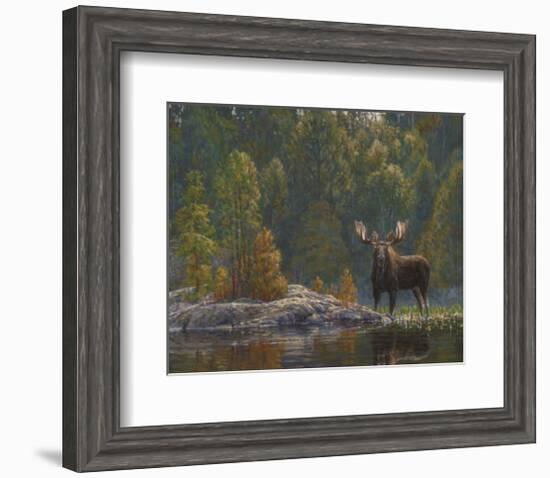 North Country Moose-Bruce Miller-Framed Art Print